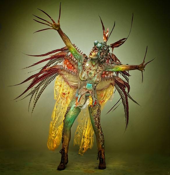 Photograph Peter Kemp Bird on One Eyeland
